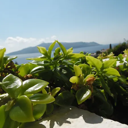 מלון Da Franco Relax And Pool 4*