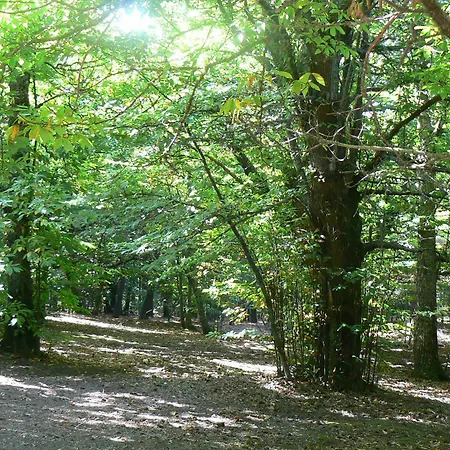Da Franco Relax And Pool 4*